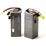 Großhandel 6S 16000MAH Herewin Batterie 22,2 V 20 C Batterie Landwirtschaft liche Pflanzens chutz batterie